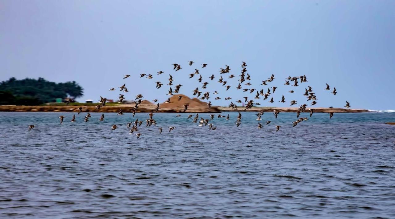 The Alampara Resort - Luxury Boutique Glamping & Water Sports Cheyūr エクステリア 写真